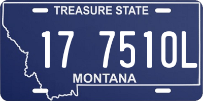 MT license plate 177510L