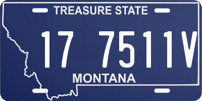 MT license plate 177511V