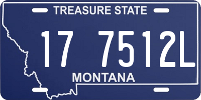MT license plate 177512L