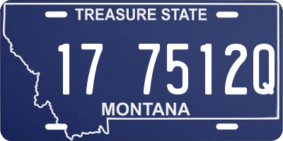 MT license plate 177512Q