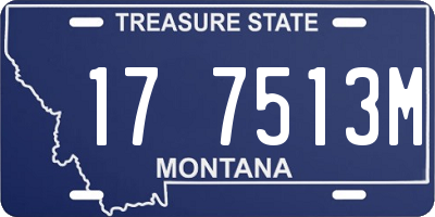MT license plate 177513M