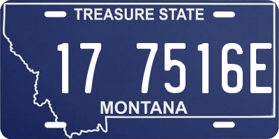 MT license plate 177516E