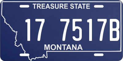 MT license plate 177517B