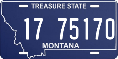 MT license plate 177517O