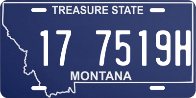 MT license plate 177519H