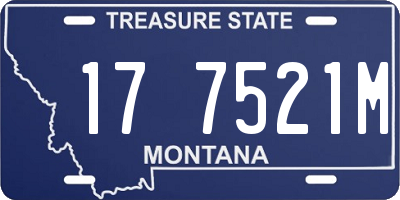 MT license plate 177521M