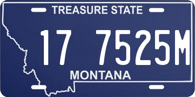 MT license plate 177525M