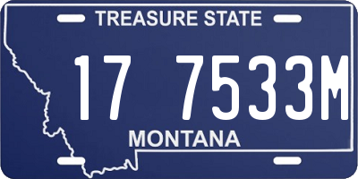 MT license plate 177533M
