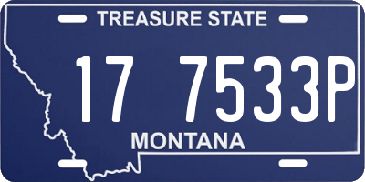 MT license plate 177533P