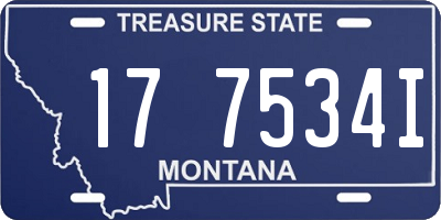 MT license plate 177534I