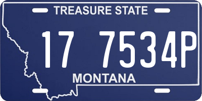 MT license plate 177534P