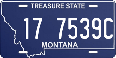 MT license plate 177539C