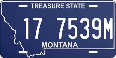 MT license plate 177539M