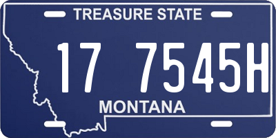 MT license plate 177545H