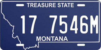 MT license plate 177546M