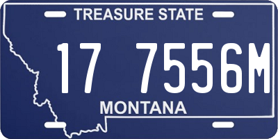 MT license plate 177556M