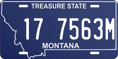 MT license plate 177563M