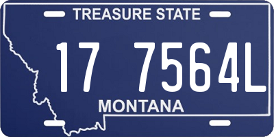 MT license plate 177564L