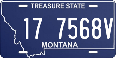 MT license plate 177568V