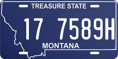 MT license plate 177589H