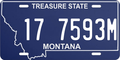 MT license plate 177593M