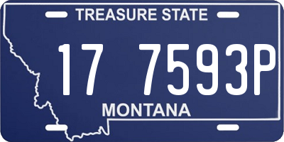 MT license plate 177593P