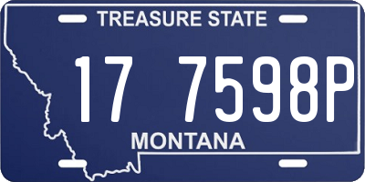 MT license plate 177598P