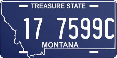 MT license plate 177599C