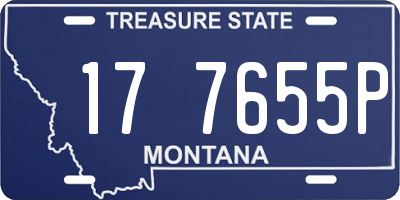 MT license plate 177655P