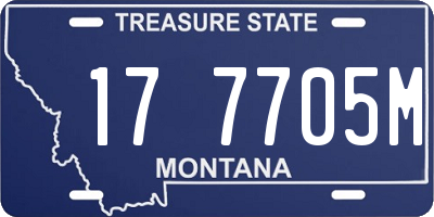 MT license plate 177705M