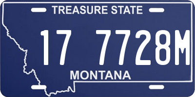MT license plate 177728M