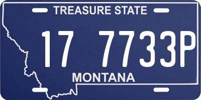 MT license plate 177733P