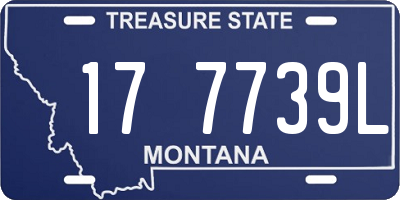 MT license plate 177739L