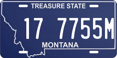 MT license plate 177755M