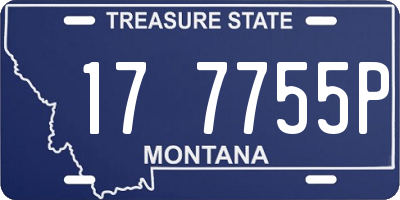 MT license plate 177755P