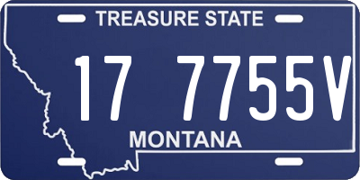MT license plate 177755V