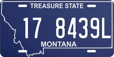 MT license plate 178439L