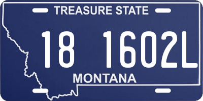 MT license plate 181602L