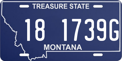 MT license plate 181739G
