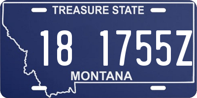 MT license plate 181755Z