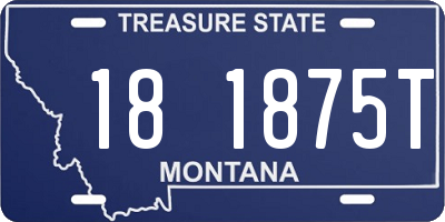 MT license plate 181875T