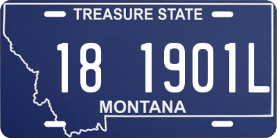 MT license plate 181901L