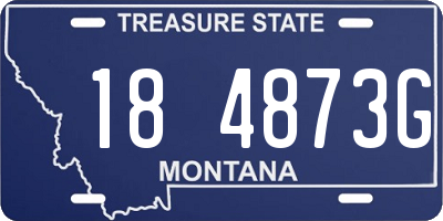 MT license plate 184873G