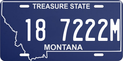 MT license plate 187222M