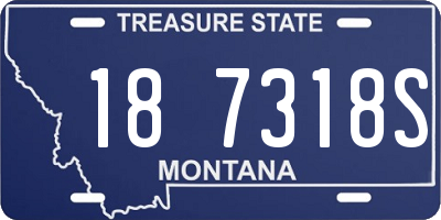MT license plate 187318S