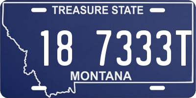 MT license plate 187333T