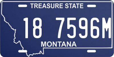 MT license plate 187596M