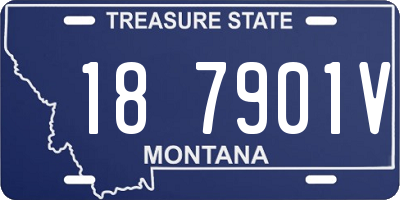MT license plate 187901V