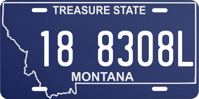 MT license plate 188308L