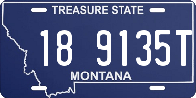 MT license plate 189135T